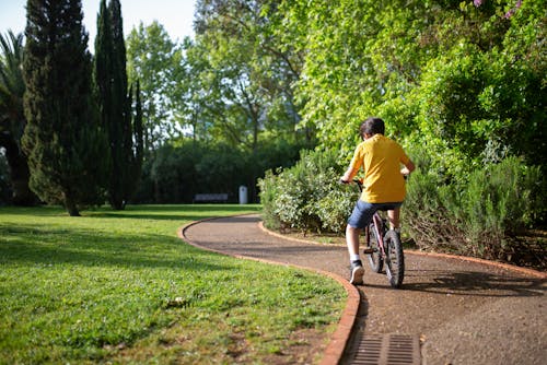 A Child Riding a Bicycle on a Bike Path at a Park