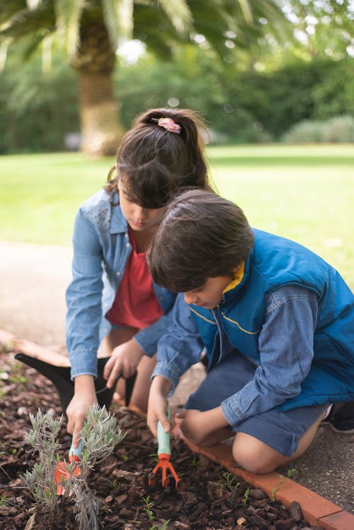 Free 
Children Using Gardening Tools Stock Photo