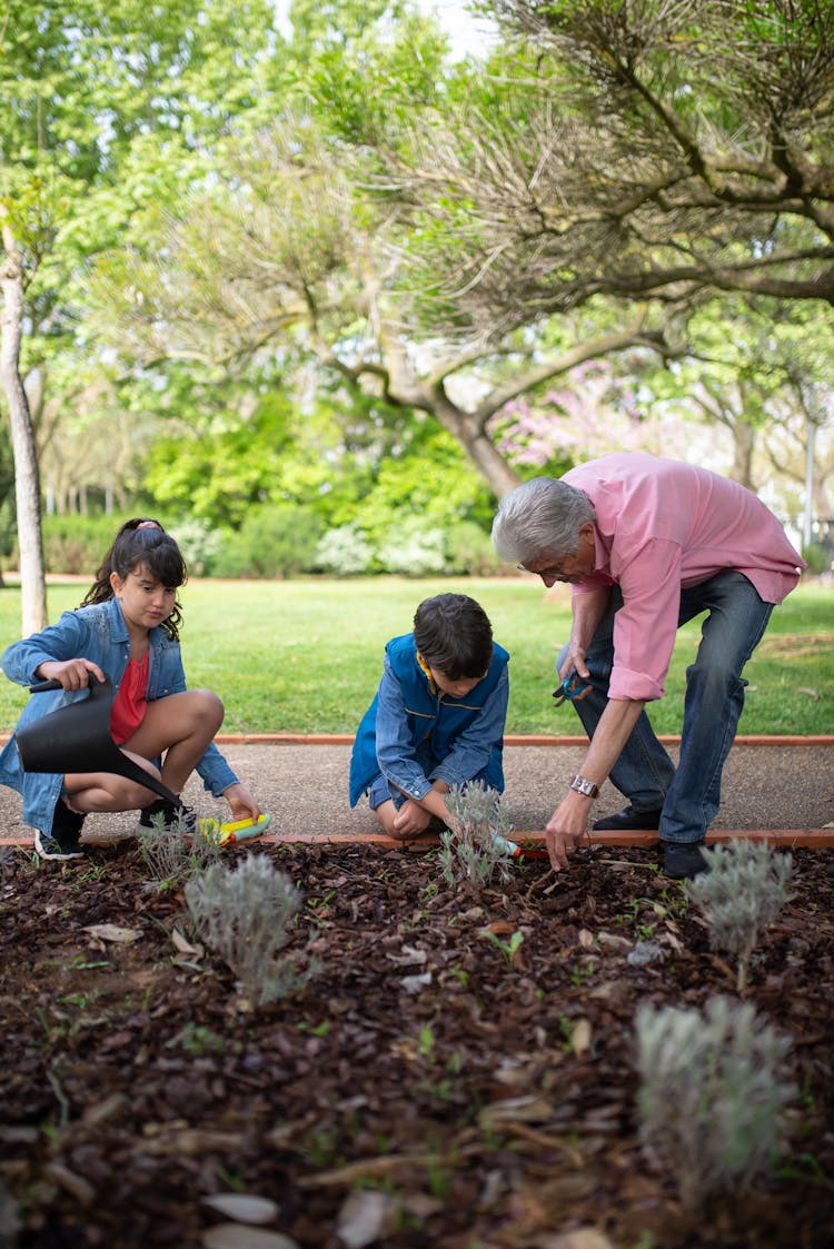 Kids Watering The Plants In The Garden 