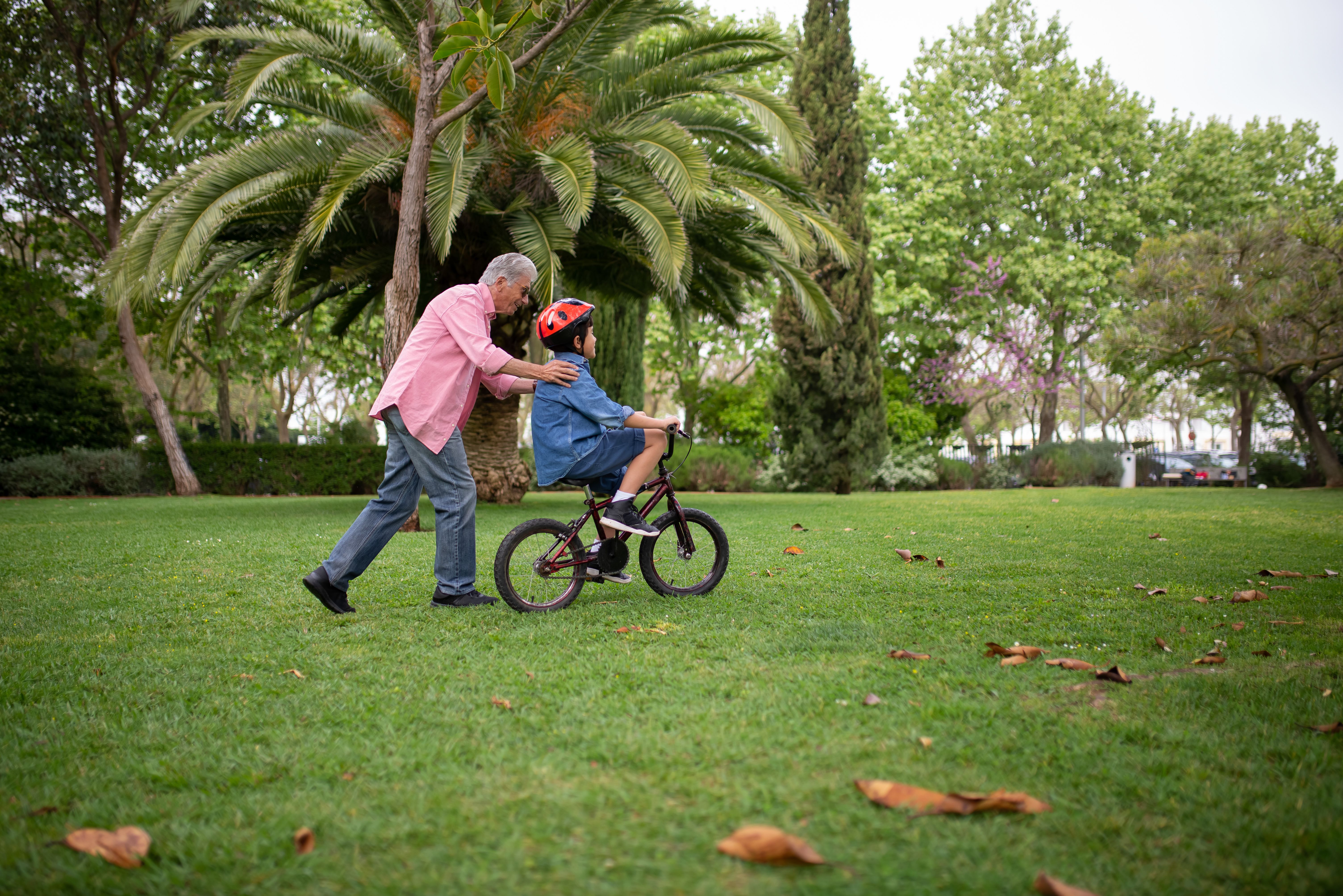 A grandfather helps his grandson learn to ride a bicycle in a lush green park.