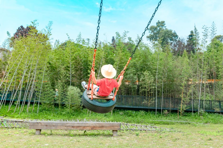 40 inch saucer disc tree swing for kids on a backyard tree, sold at Walmart