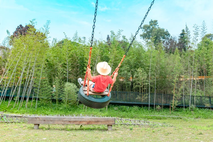 A Child Sitting On A Tire Swing