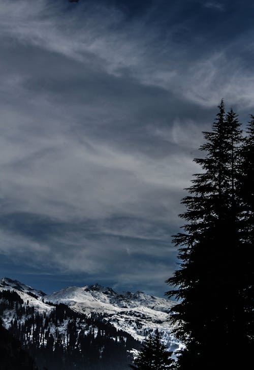 Fotobanka s bezplatnými fotkami na tému chladný, himachal, hora