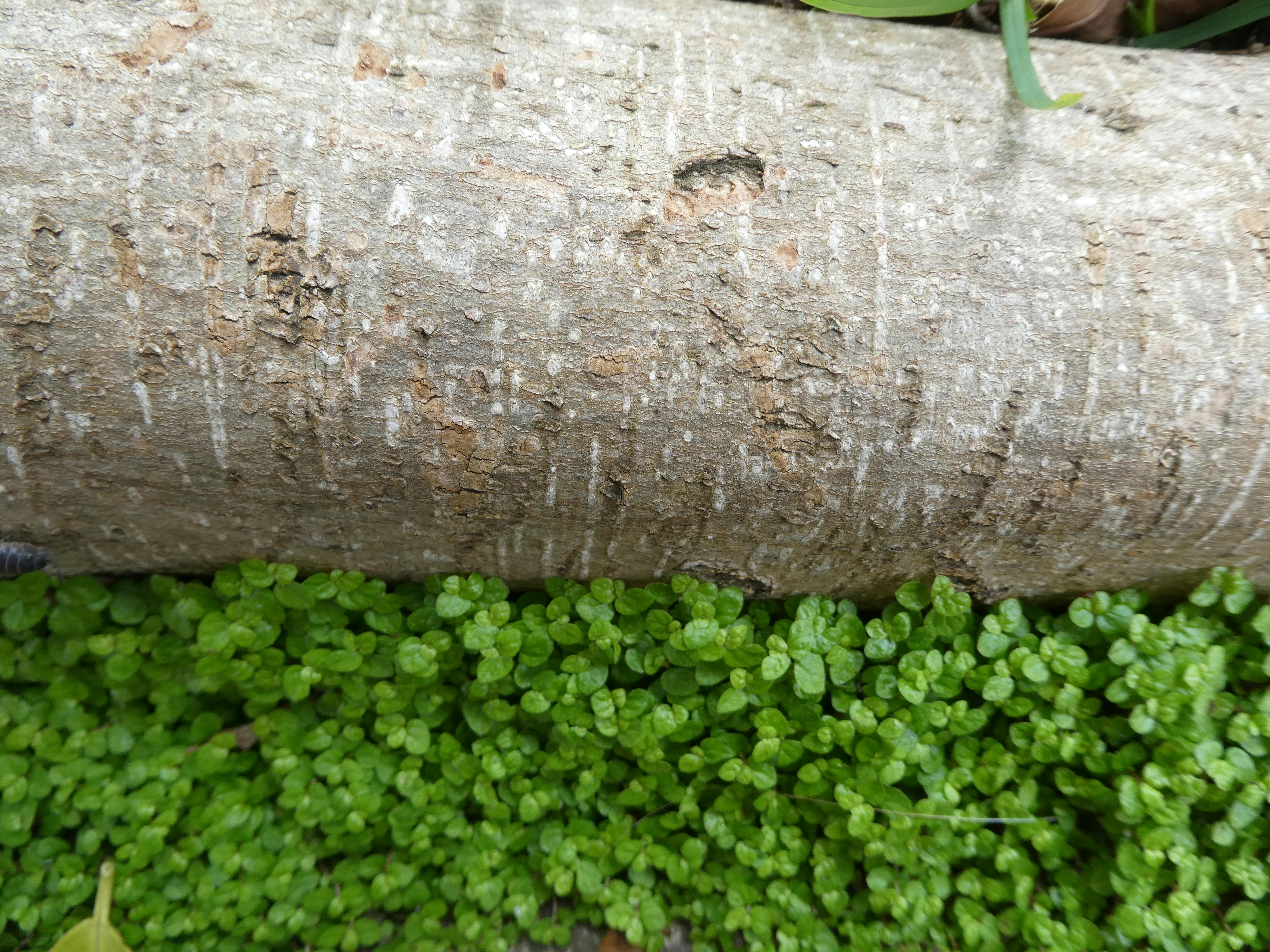 Team Meeting Discussion