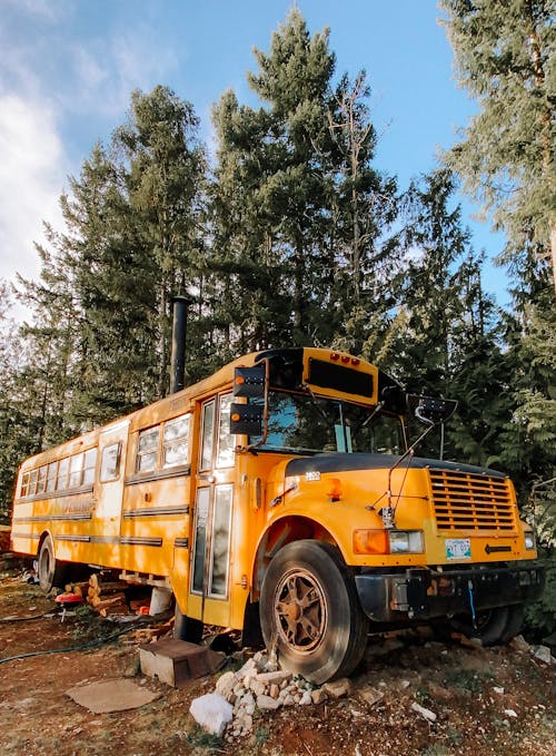 Imagine de stoc gratuită din abandonat, arbori, auto