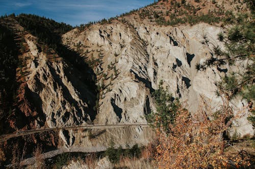 Foto profissional grátis de abismo, árvores, cênico