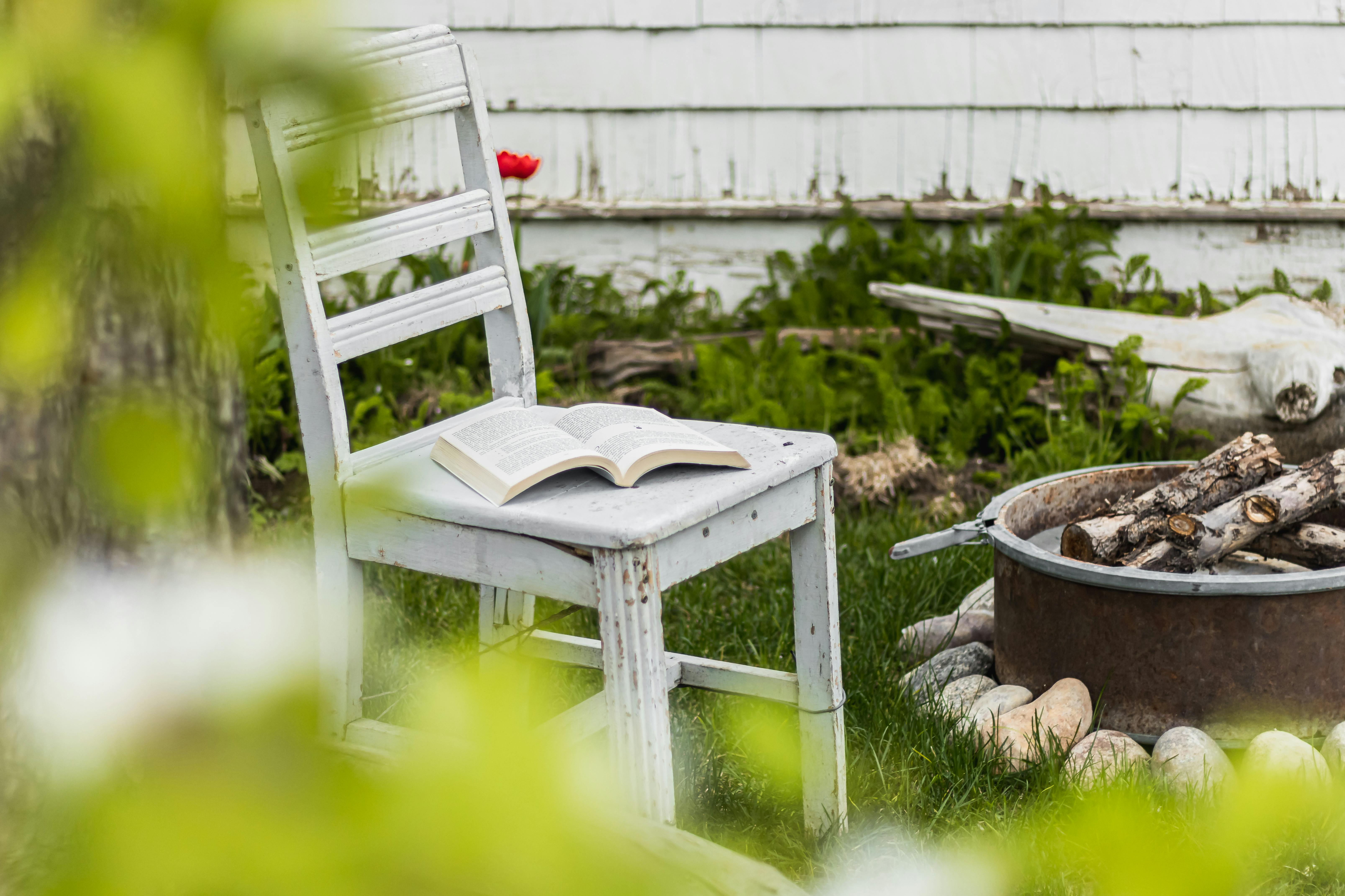 Best Chair for Reading 2026: Recliner, Rocker & Accent