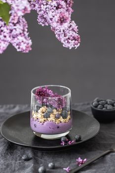 Acai & Blueberry Asian Yogurt