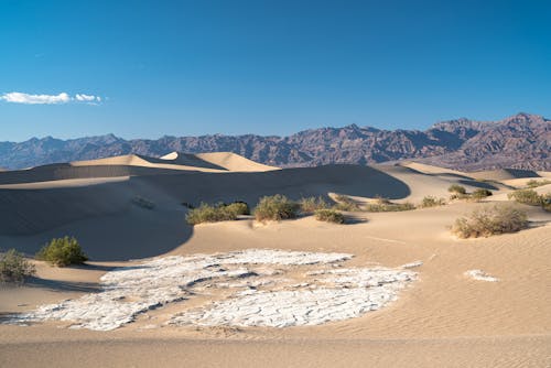 Sand Dunes Under a Clear Sky