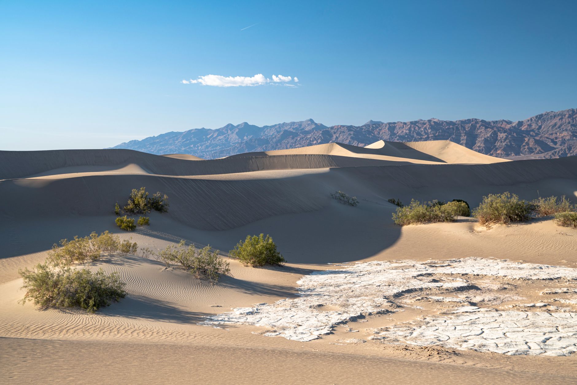 Beautiful scenic desert landscape featuring sand dunes under a clear blue sky.