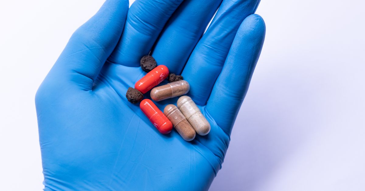 Why Is Gut Health Important for Hormonal Balance