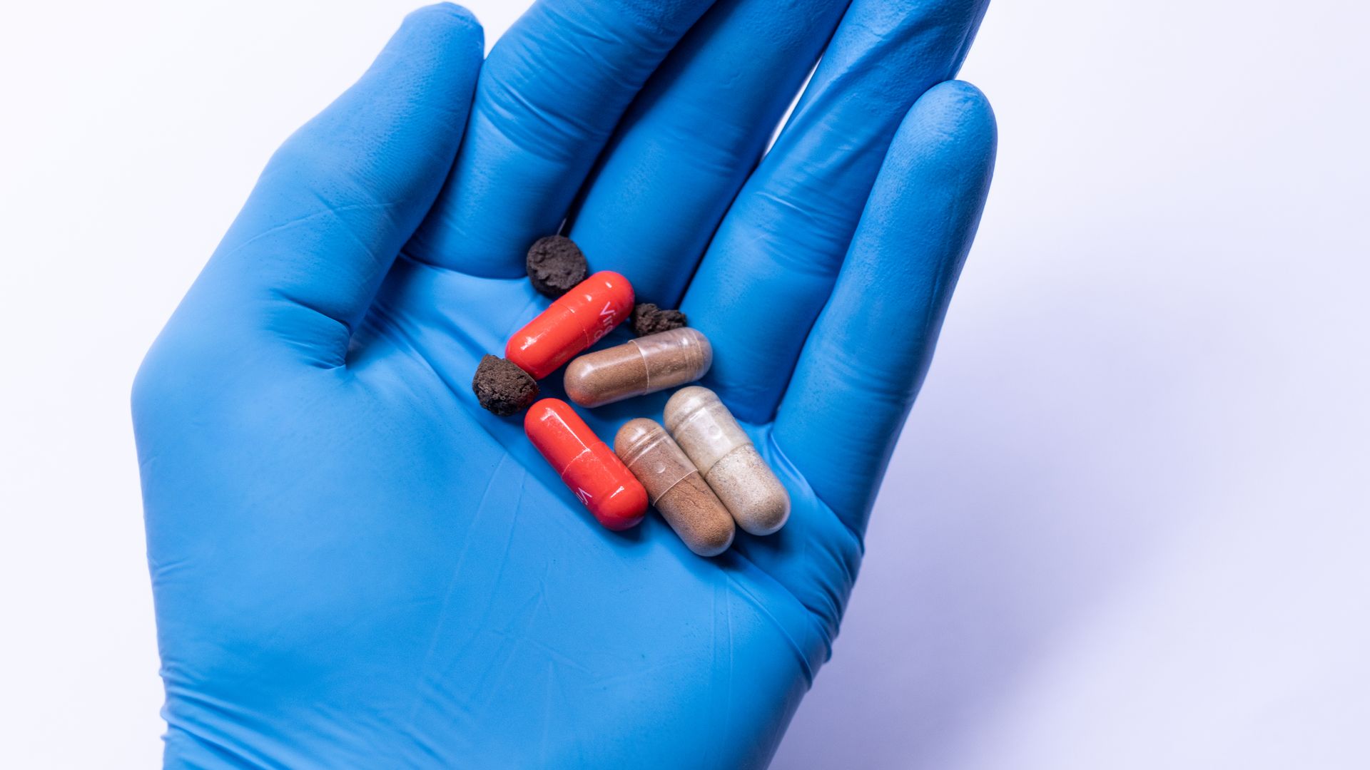 modafinil vs mind lab pro: Unlocking Cognitive Potential Top view of crop anonymous medic in latex glove demonstrating handful of medicines for therapy against white background — modafinil vs mind lab pro