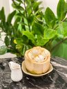 Close-up Photo of Fresh Coconut