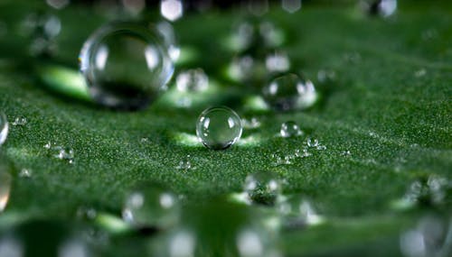 Безкоштовне стокове фото на тему «бульбашка, вода, волога»