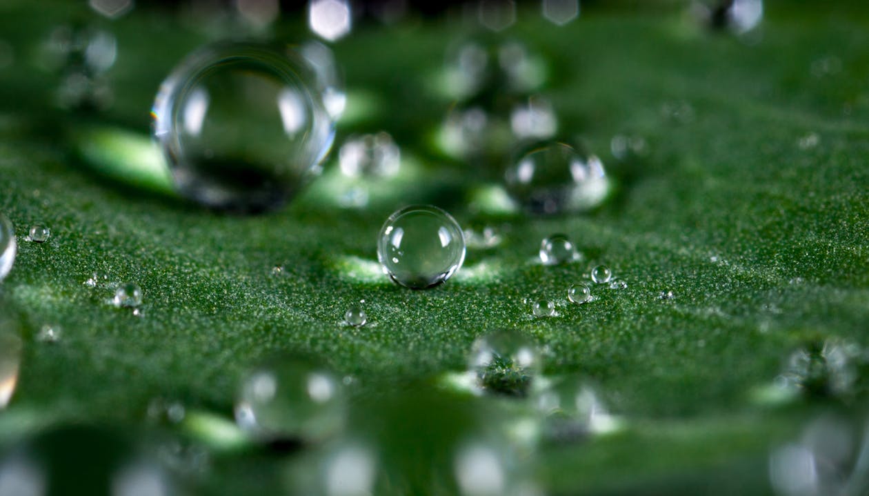 Free Macro Shot of Water Droplets Stock Photo