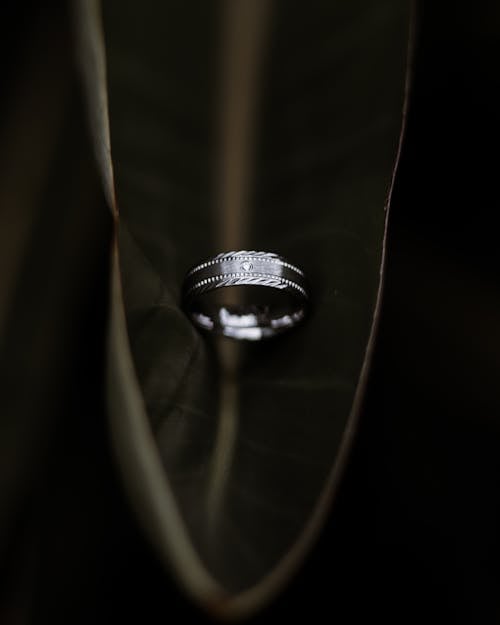 Free Silver Ring on Green Leaf Stock Photo