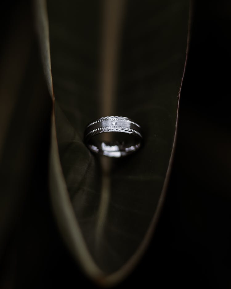 Silver Ring On Green Leaf