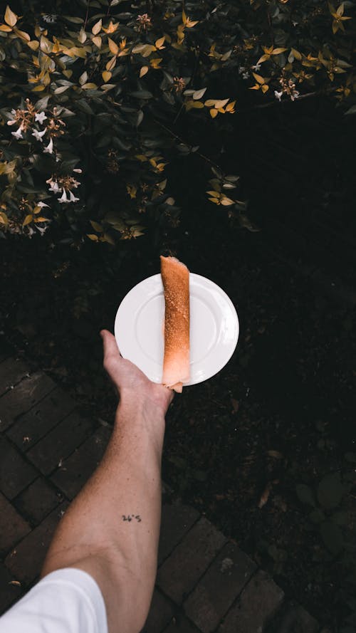 Free Person Holding White Round Plate Stock Photo