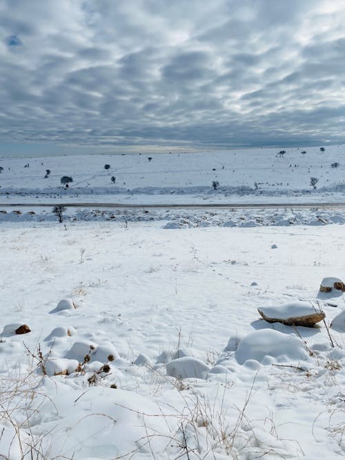 Imagine de stoc gratuită din acoperit de zăpadă, anotimp, formațiune noroasă