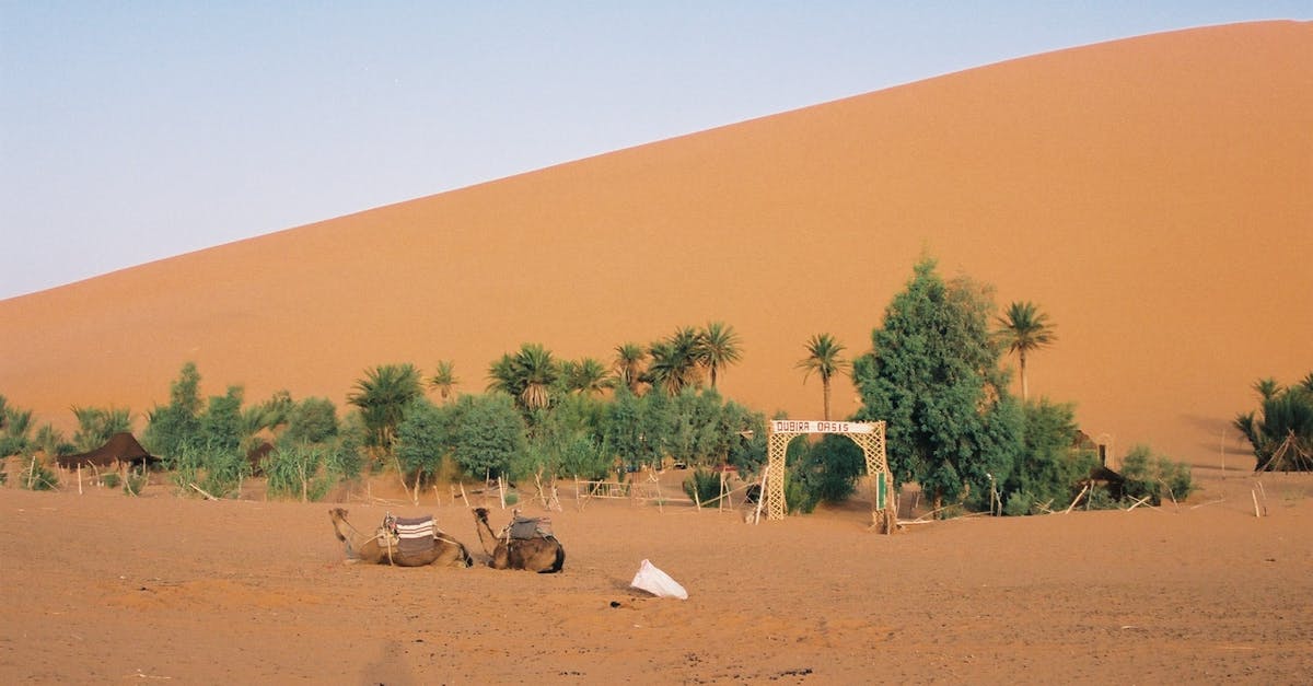 Free stock photo of desert, oasis