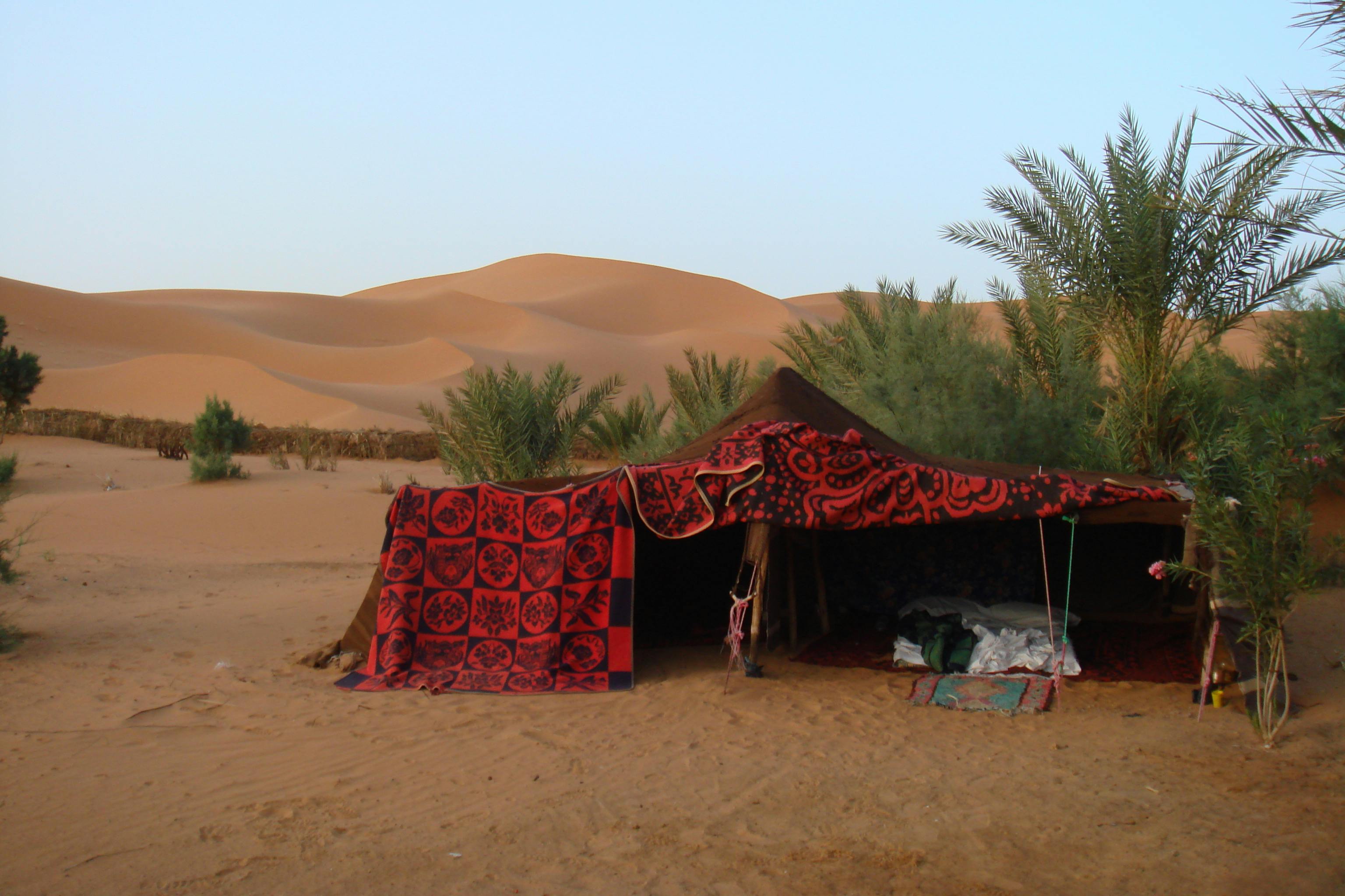 オアシス 砂漠の無料の写真素材