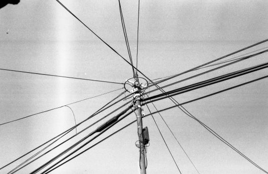 linee