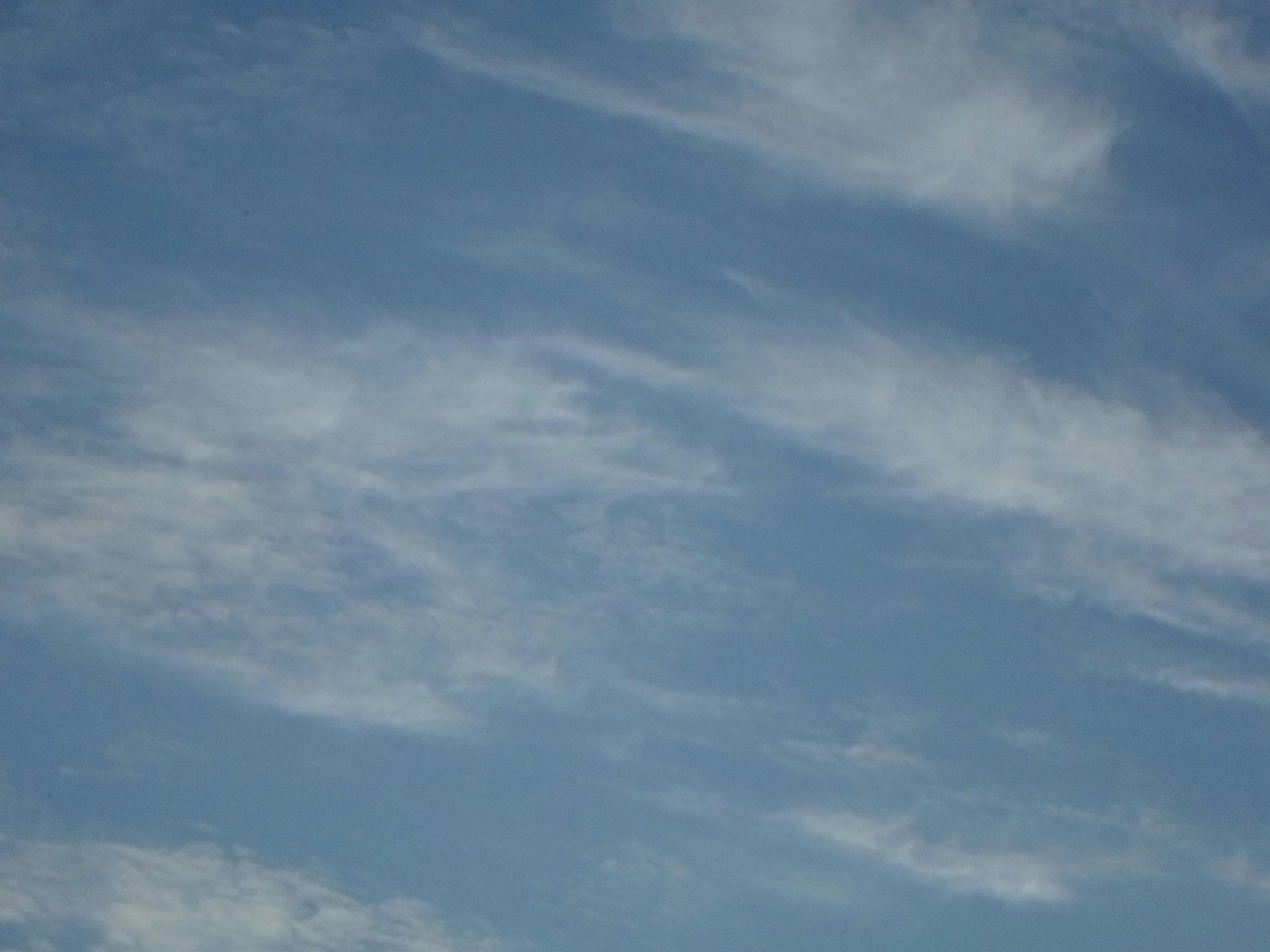 Walldpaper 12 Photos & Videos Collected by Patricia