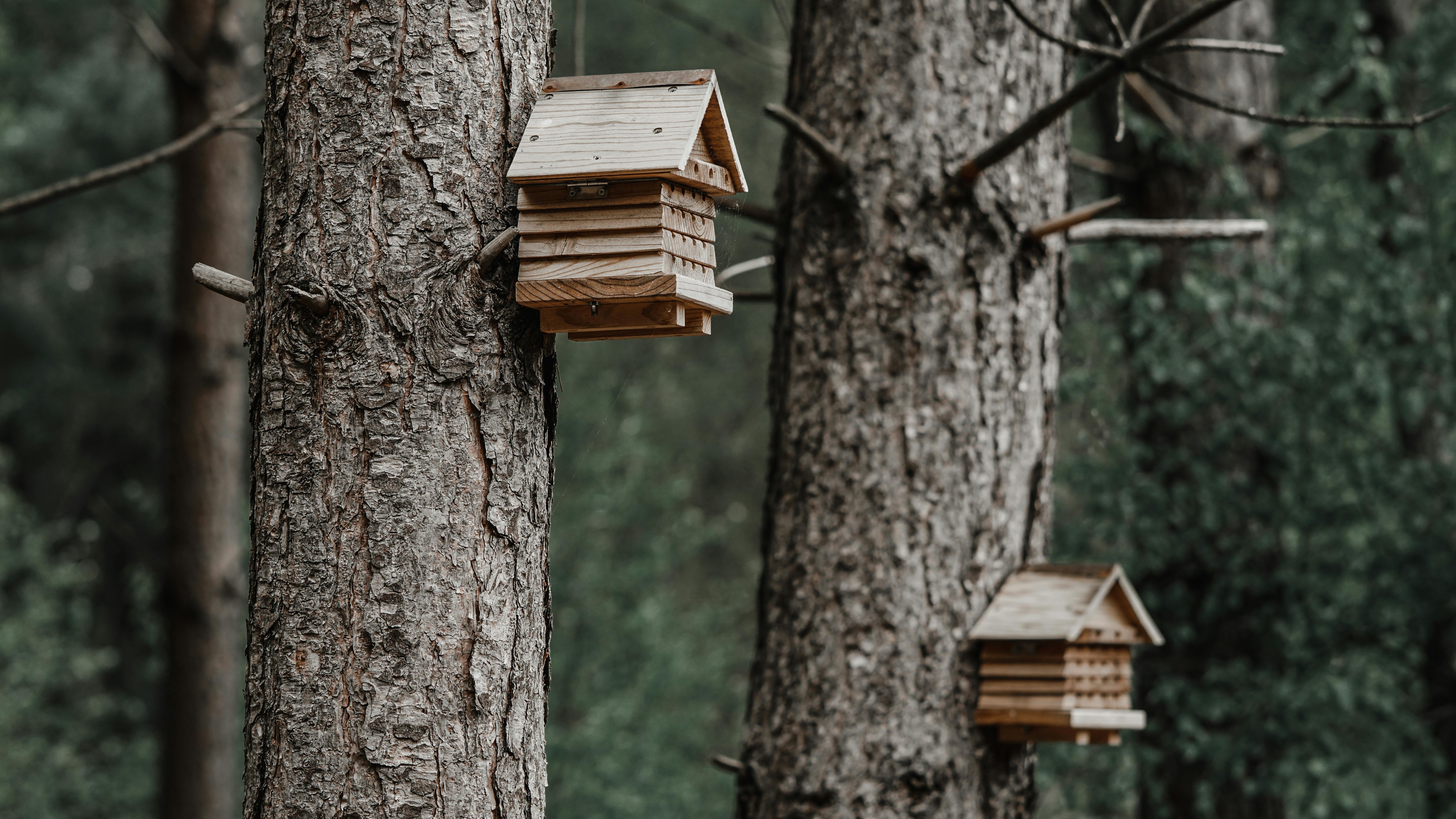 Birdhouse Hanging On A Tree With A Spare Key Inside