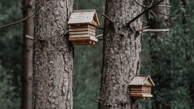 How to Make a Birdhouse: Step-by-Step Material List
