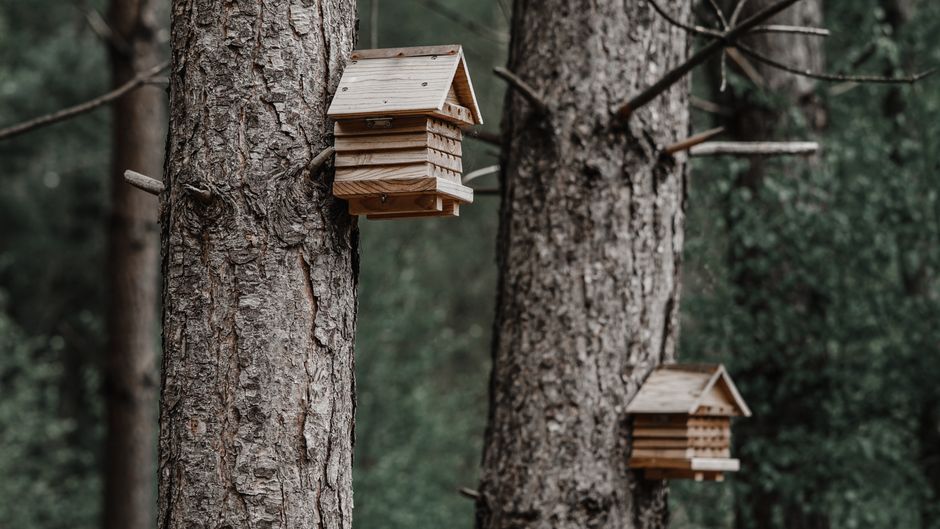 How to Make a Birdhouse: Step-by-Step Material List