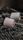 marshmallow