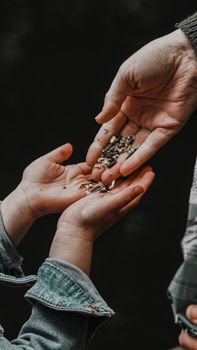 A close-up view of an adult handing sunflower seeds to a child, symbolizing sharing and connection. — photo by Nathan J Hilton