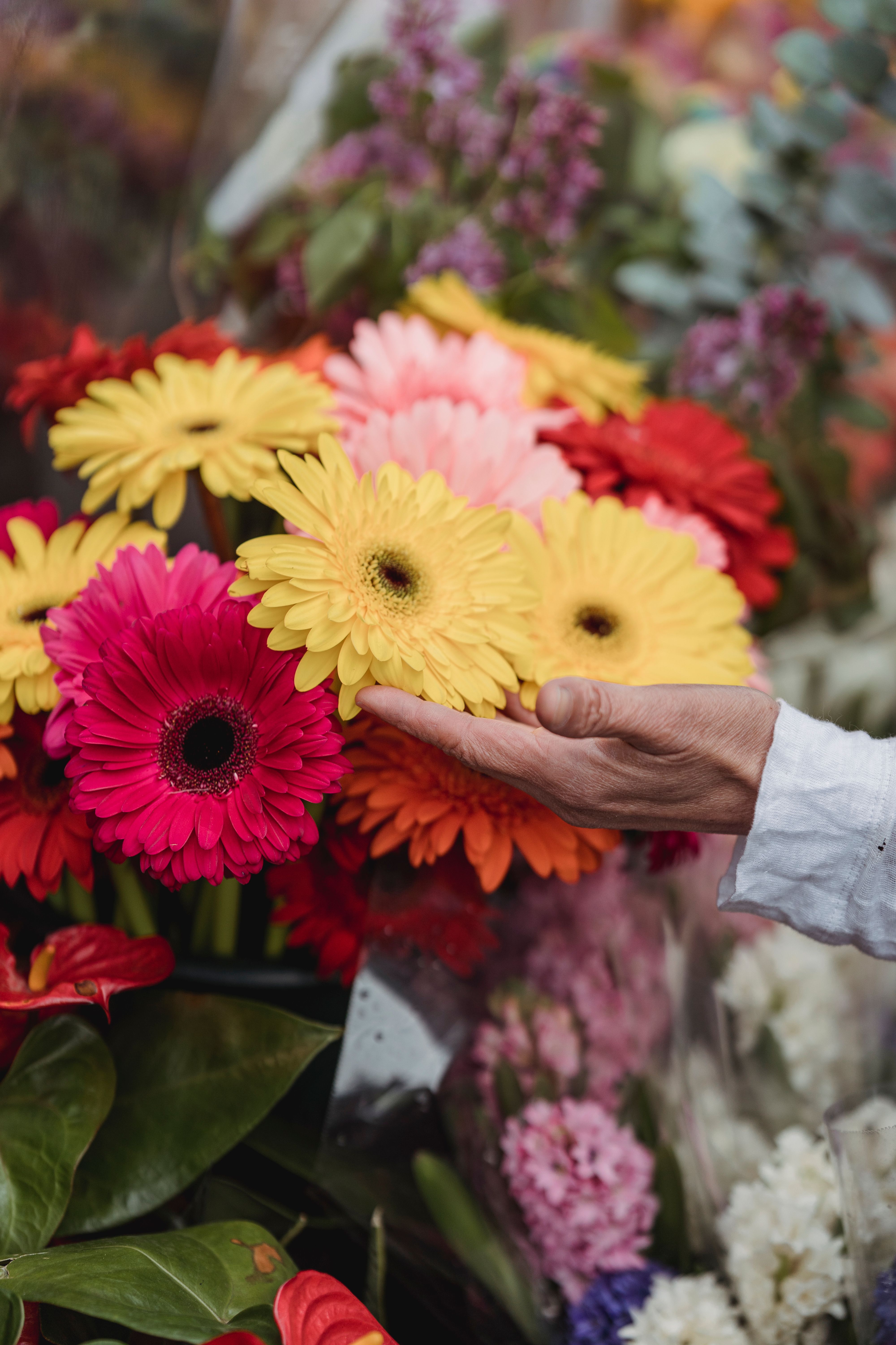 [ColoSach]-a-close-up-of-a-hand-holding-bright,-colorful-flowers-arranged-in-a-bouquet,-showcasing-vibrant-petals.