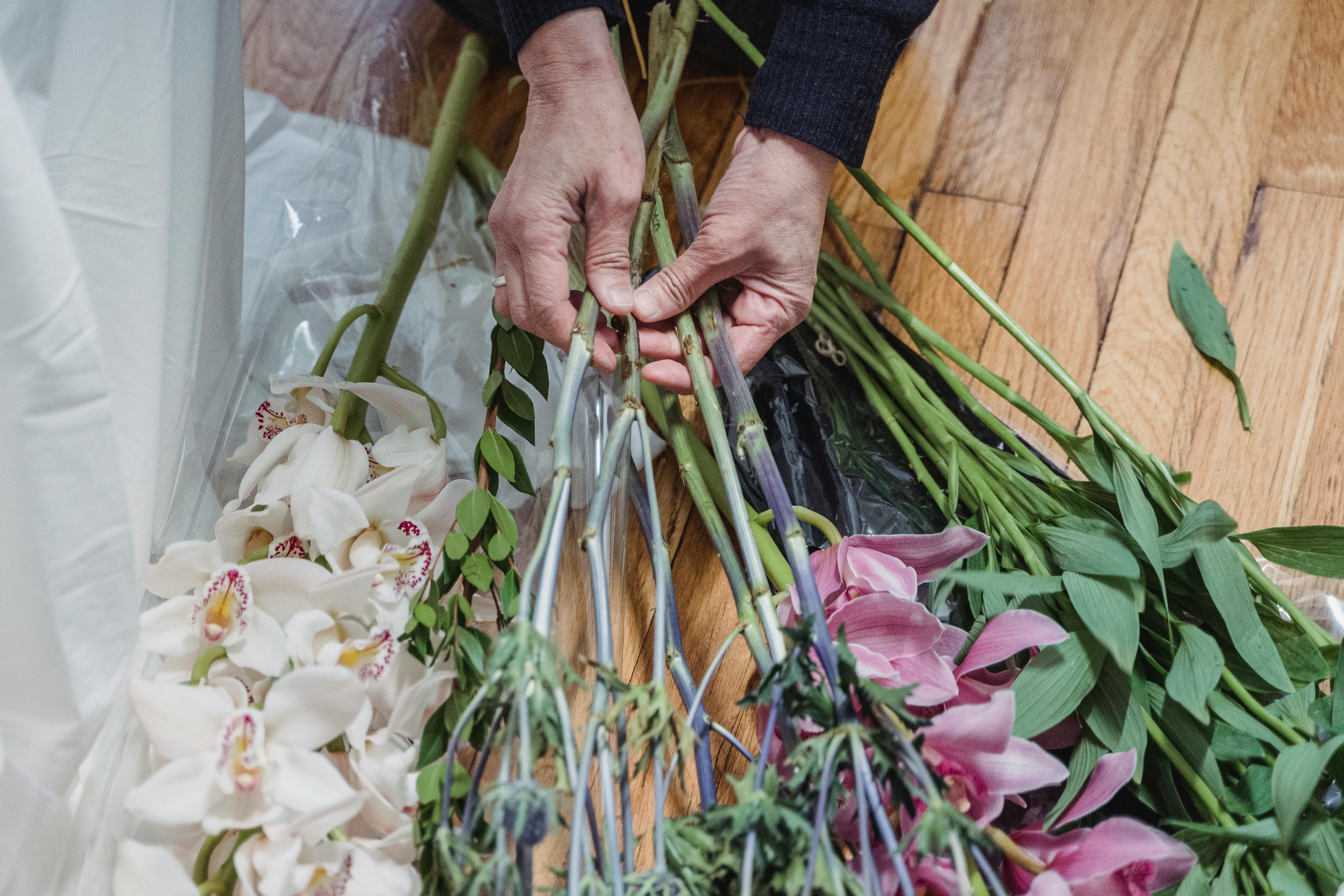 A Person Arranging Flowers · Free Stock Photo