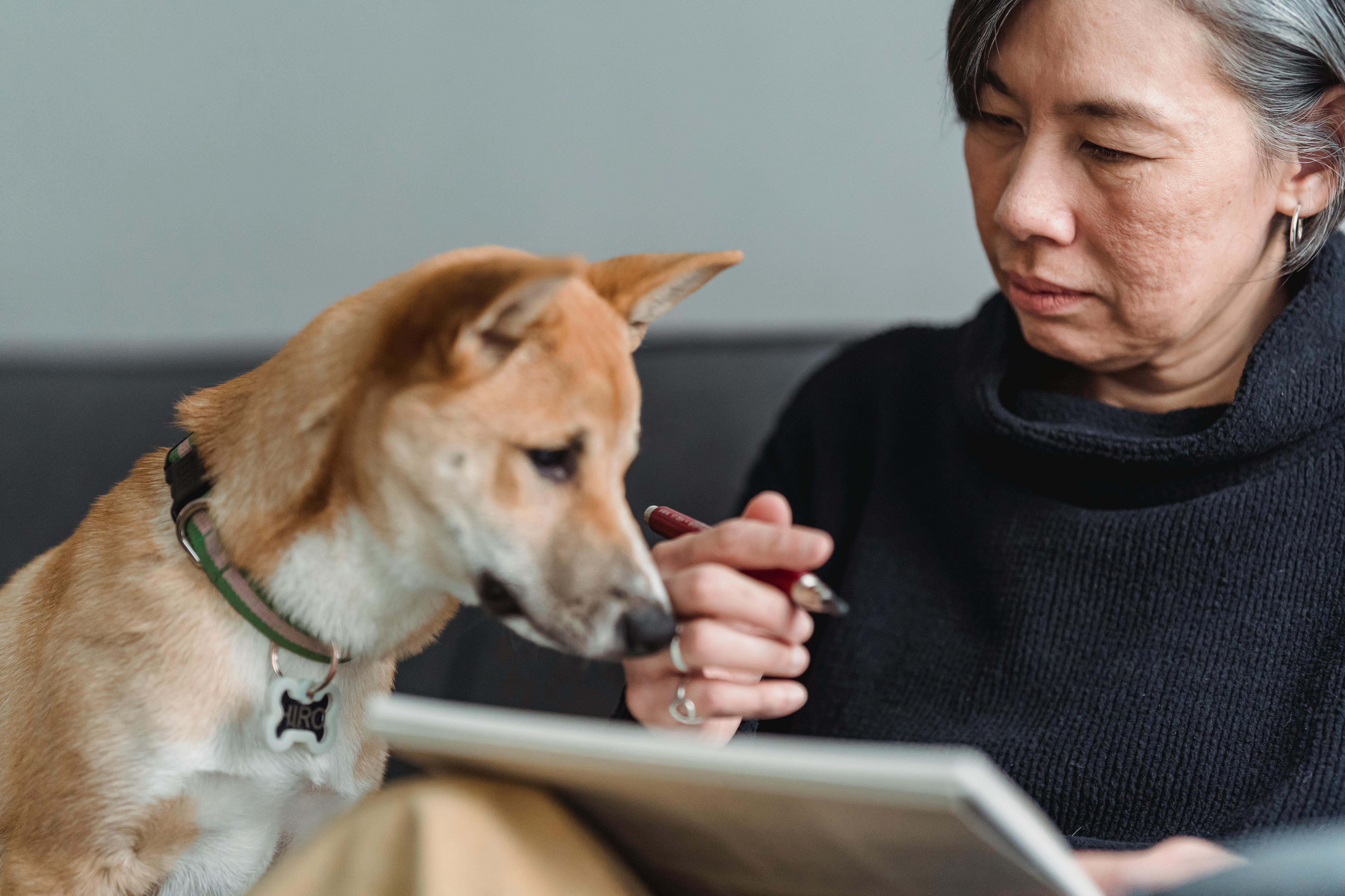 A Woman Looking at Her Pet