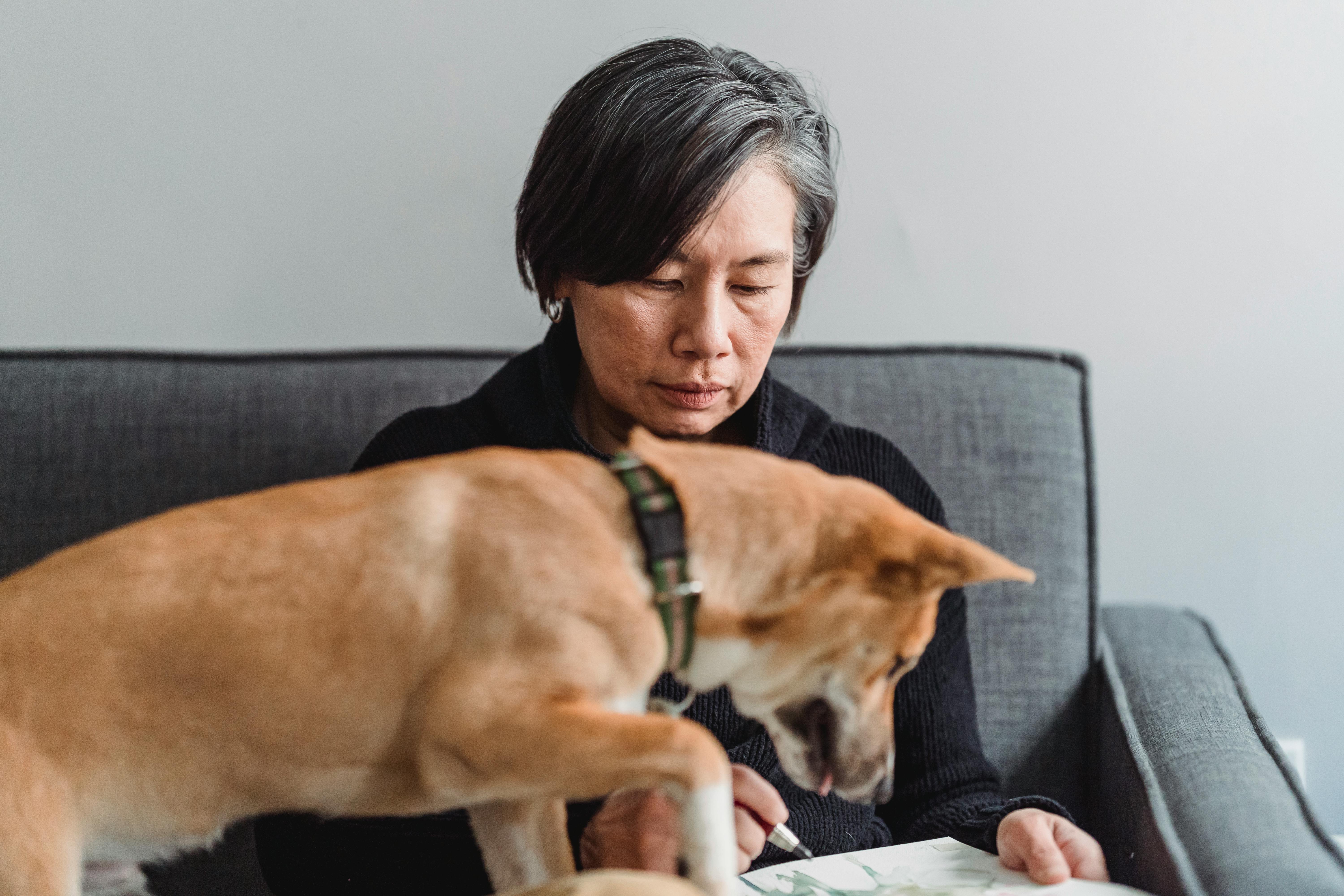 Woman sitting on couch with her attentive dog, both engaged in an indoor setting.