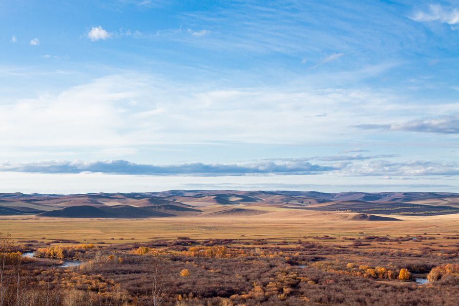 Immigrer en Mongolie sans diplôme : est-ce possible ?