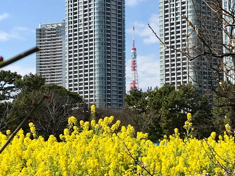 anak asyik main game