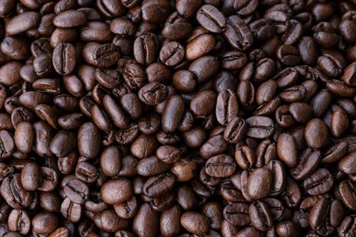 Free Close Up Shot of Coffee Beans Stock Photo