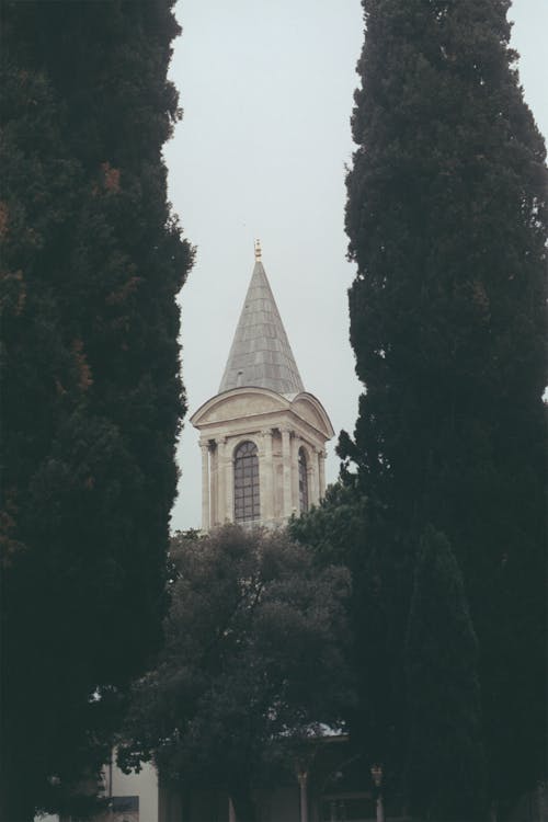 Δωρεάν στοκ φωτογραφιών με αρχιτεκτονική, δέντρα, εκκλησία Φωτογραφία από στοκ φωτογραφιών