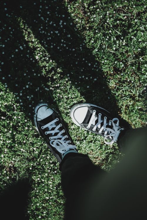Free Black sneakers on green grass casting intricate shadows in natural daylight. Stock Photo