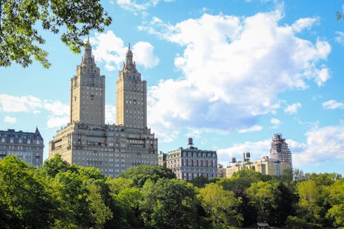 Foto profissional grátis de arquitetura, árvores, central park