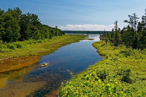 Foto De River Surrounded By Grass