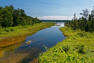 一名孤独的皮划艇运动员在平静的河面上划船，四周环绕着郁郁葱葱的森林