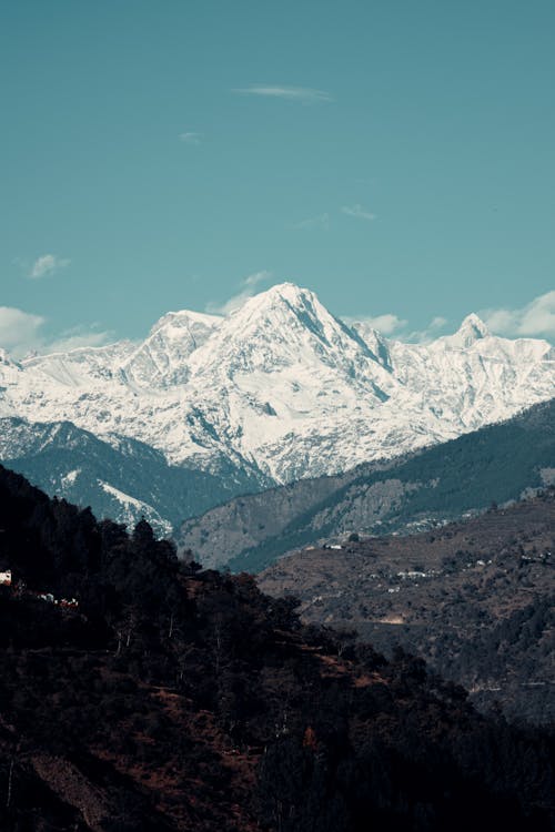 Безкоштовне стокове фото на тему «chopta, блакитне небо, вертикальний»