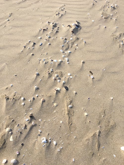 Free stock photo of sand beach, sandy, sea sand