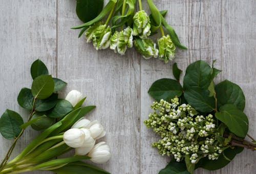 From above of fresh aromatic white tulips placed near Super Parrot tulips and branches of lilac against wooden background in daytime