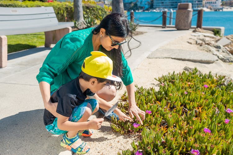 Mother And Son Touching Flowering Plants