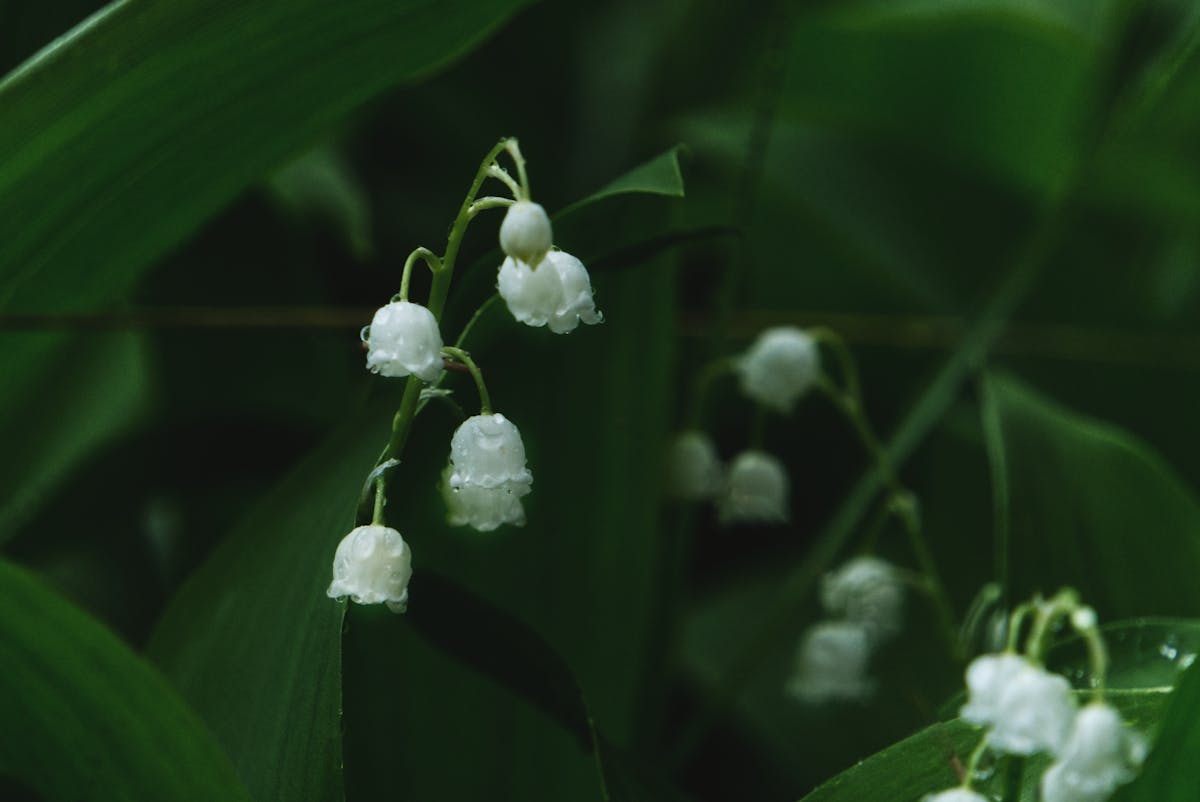 New Star Wars Game Won't Launch Until 2030 (Maybe Even PS7, Says Insider) 2 gaming setup with rgb lighting and star wars posters