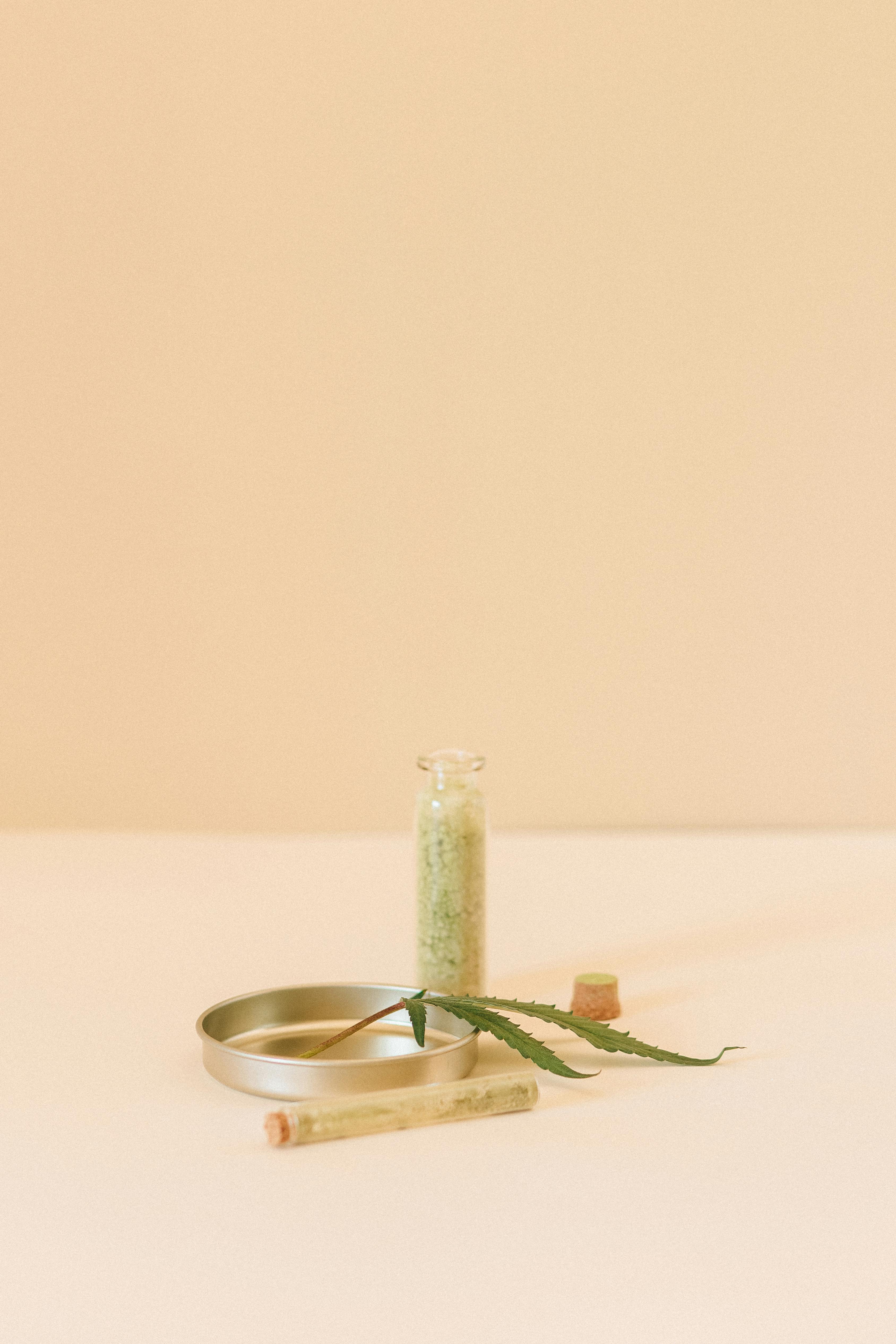 clear glass bottle with green plant